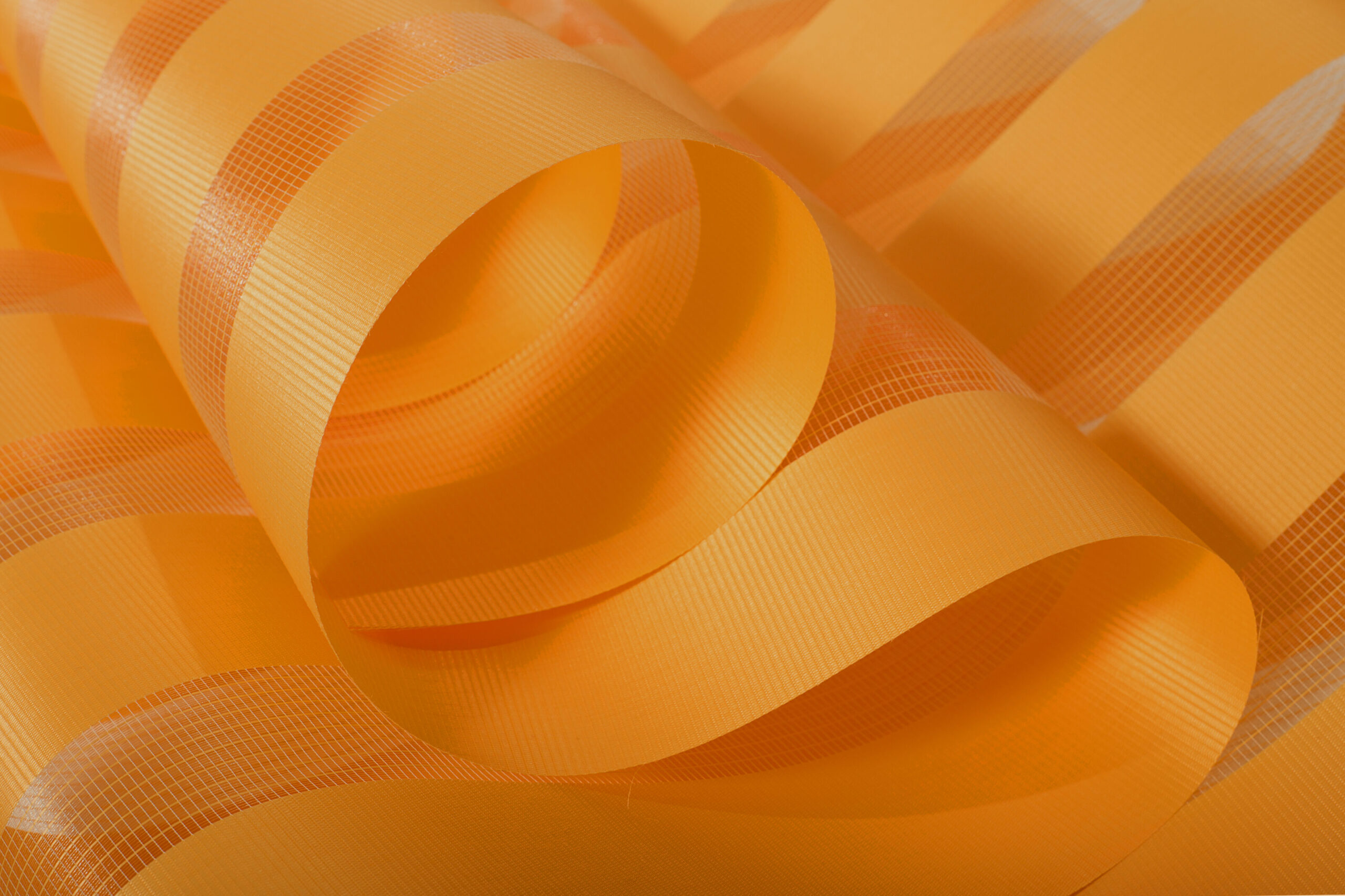 18_Zebra_II_miodowy-scaled