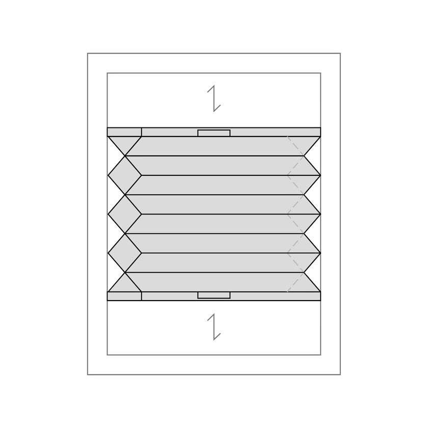 DD_PIKT_plisa_plaster_miodu