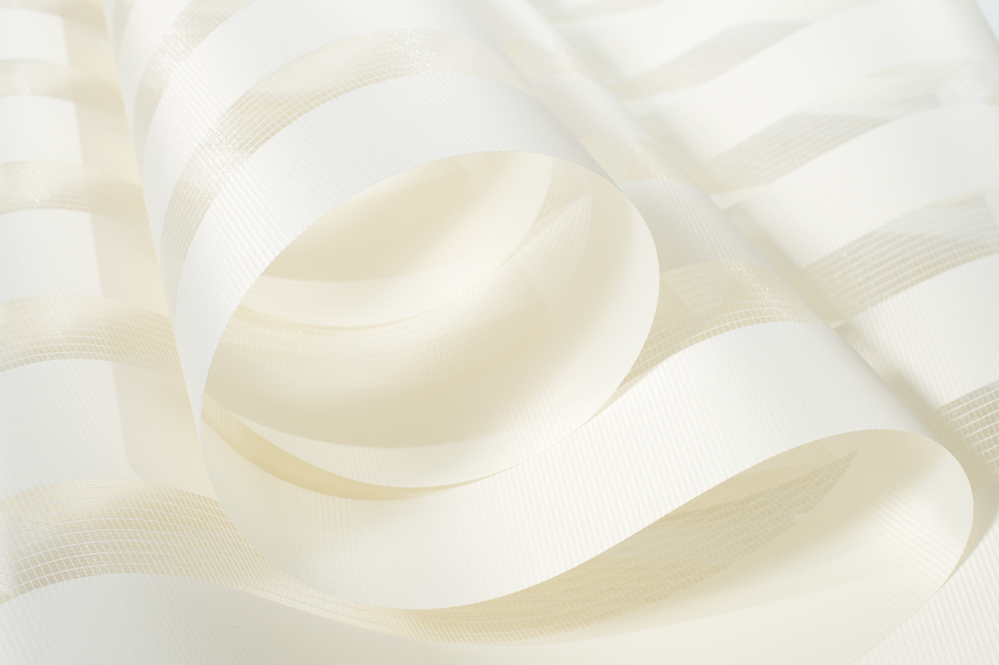 2_Zebra_II_wanilia_Easy-Resize.com